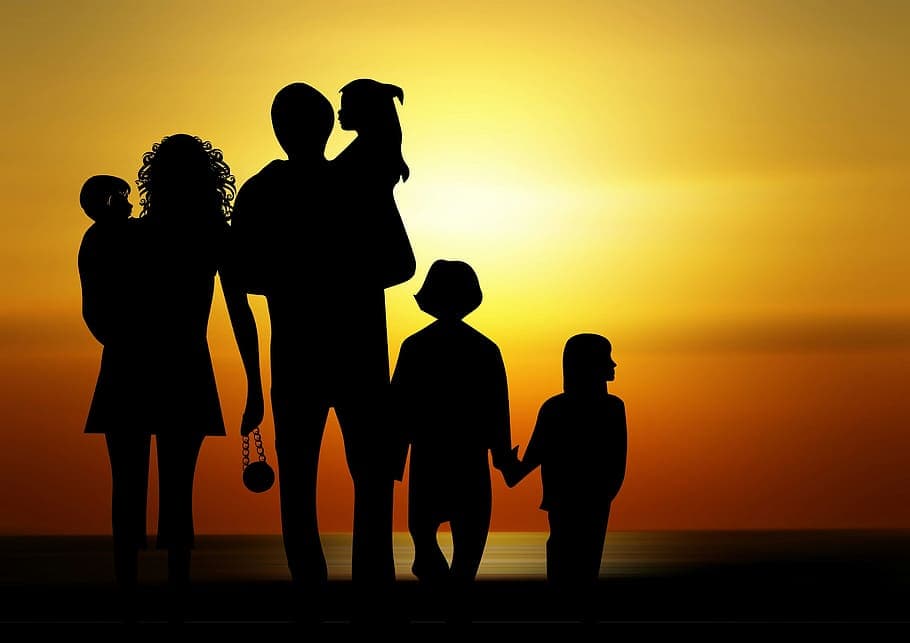 Aile Dizimi